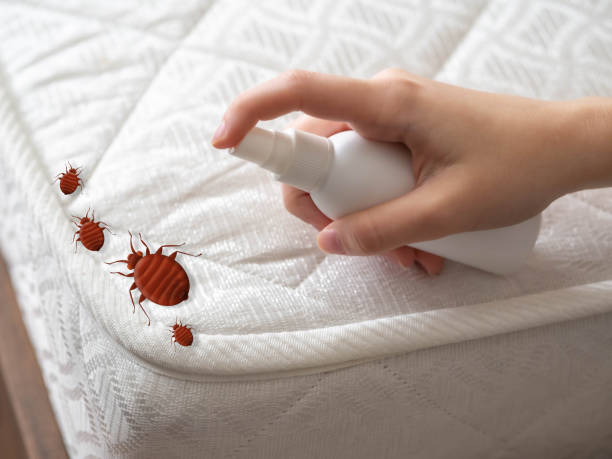 Flea Control Services in Union, MO